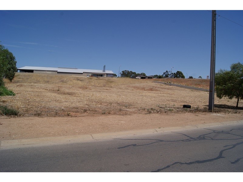 Lot 1 Theen Avenue, Willaston SA 5118