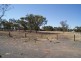 Lot 1 Ronda Avenue, Roseworthy SA 5371