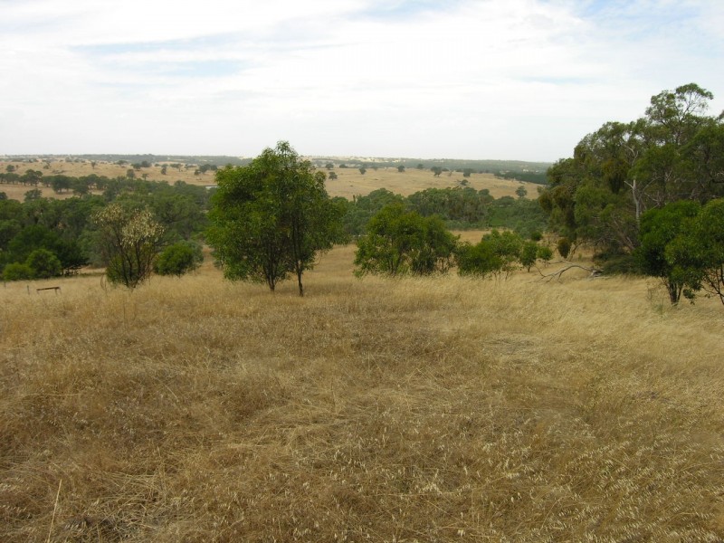 123 Blockers Road, Pewsey Vale SA 5351