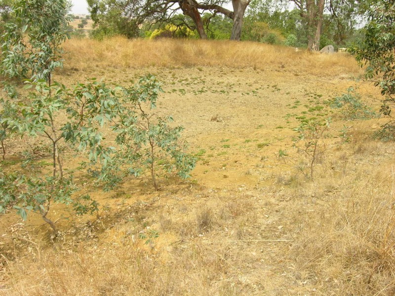 123 Blockers Road, Pewsey Vale SA 5351