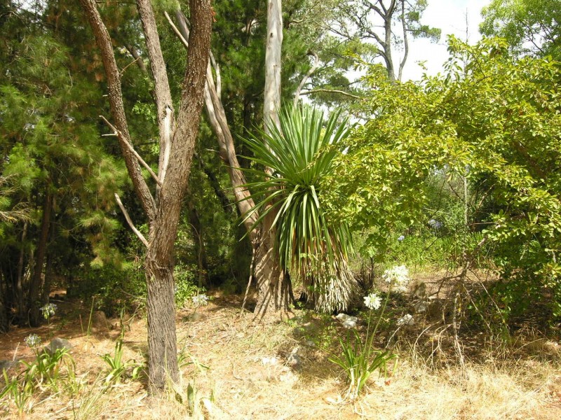 123 Blockers Road, Pewsey Vale SA 5351