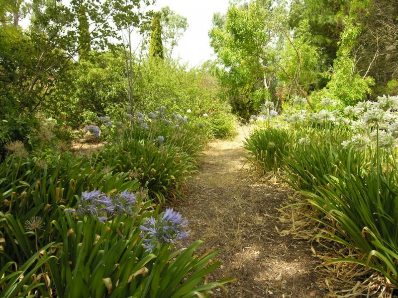 123 Blockers Road, Pewsey Vale SA 5351