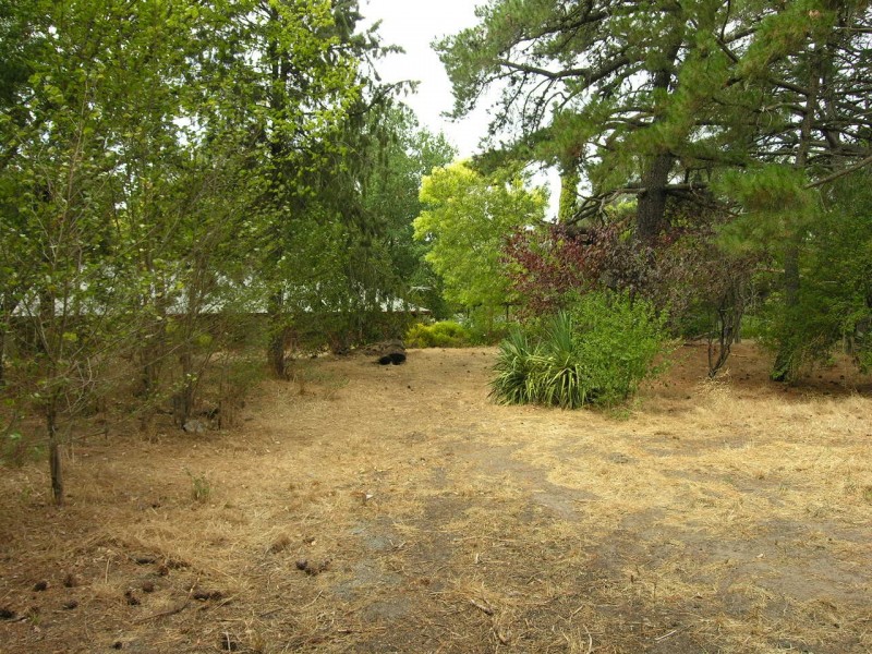 123 Blockers Road, Pewsey Vale SA 5351