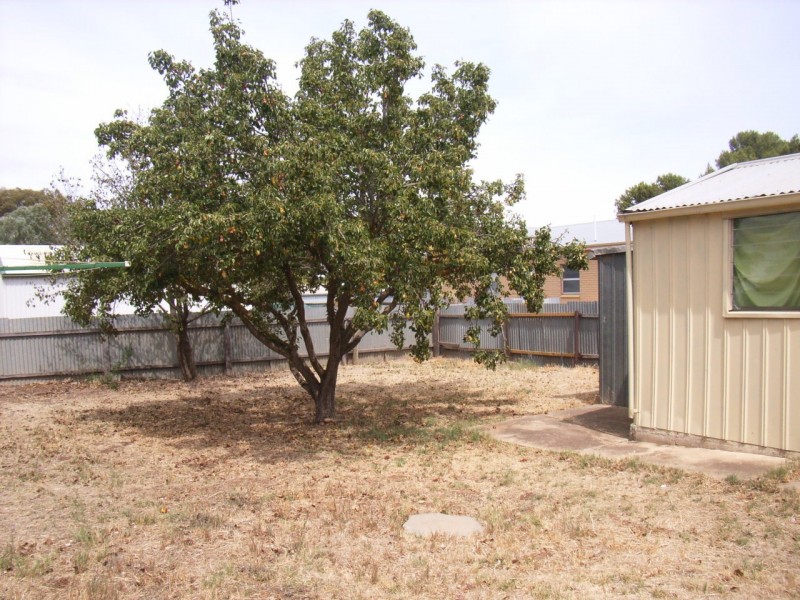 25 South Terrace, Kapunda SA 5373