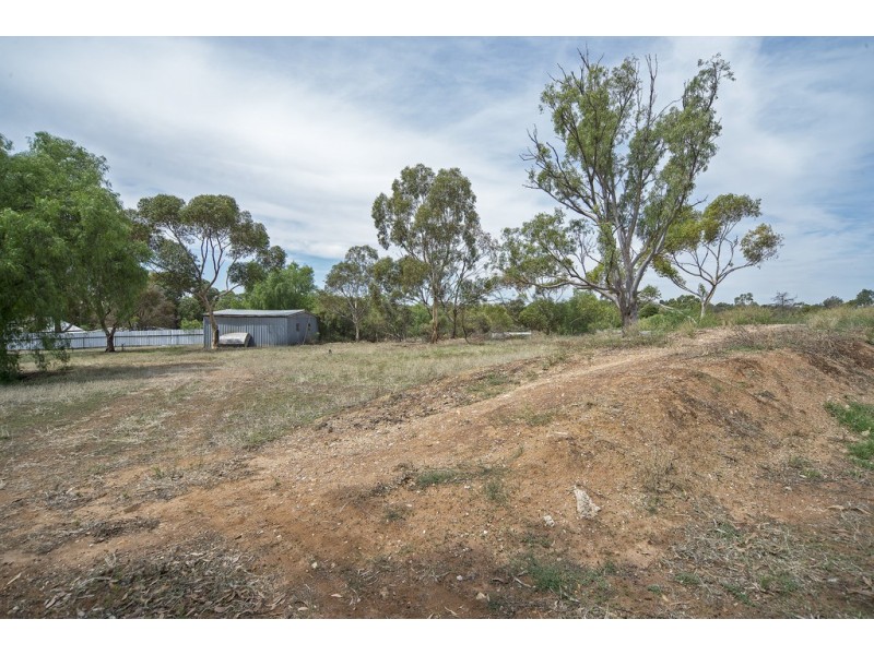 163 Calton Road, Gawler SA 5118