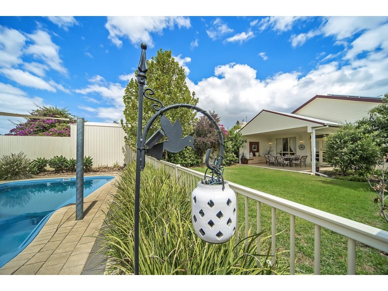 12 Burrows Street, Willaston SA 5118