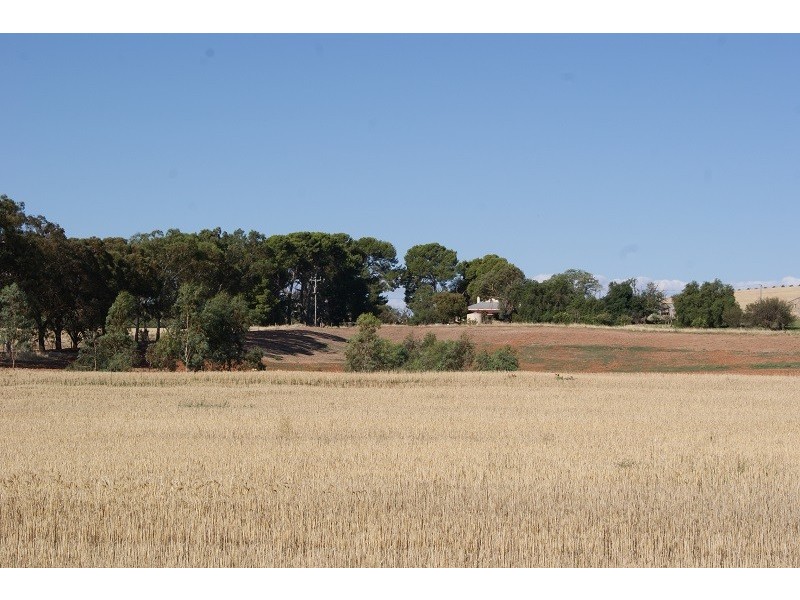 152 Rosedale Road, Sandy Creek SA 5350