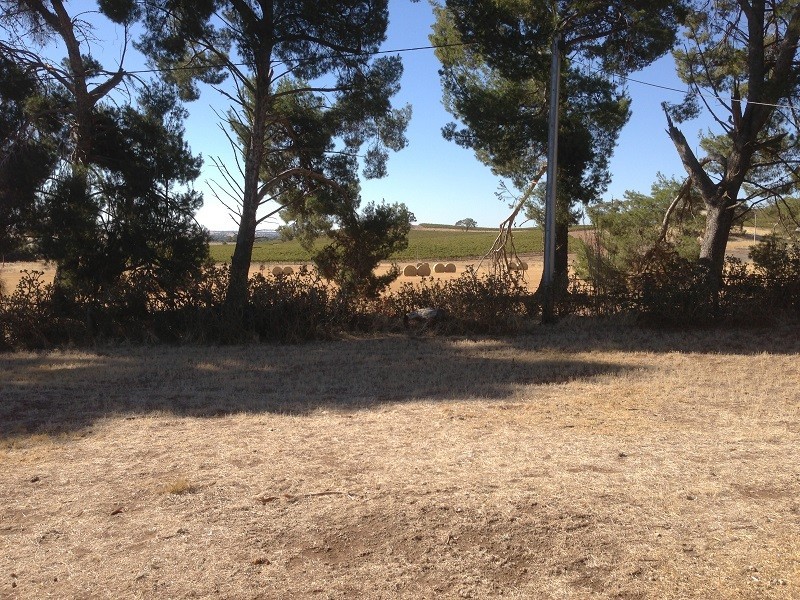 152 Rosedale Road, Sandy Creek SA 5350