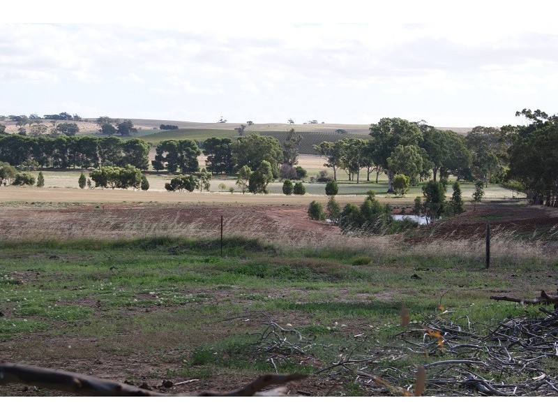 152 Rosedale Road, Sandy Creek SA 5350