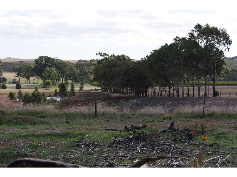 152 Rosedale Road, Sandy Creek SA 5350