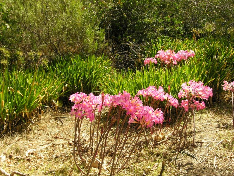 34 Millington Road, Williamstown SA 5351