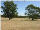 Lot 20 Goldfields Road, Cockatoo Valley SA 5351