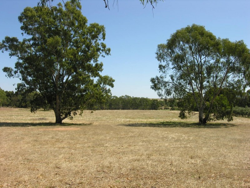 Lot 20 Goldfields Road, Cockatoo Valley SA 5351