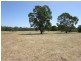 Lot 20 Goldfields Road, Cockatoo Valley SA 5351
