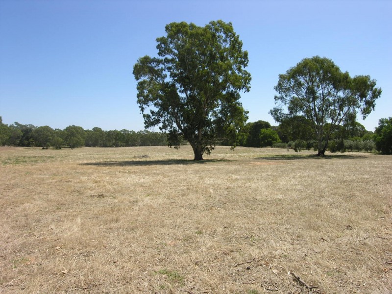 Lot 20 Goldfields Road, Cockatoo Valley SA 5351