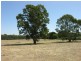Lot 20 Goldfields Road, Cockatoo Valley SA 5351