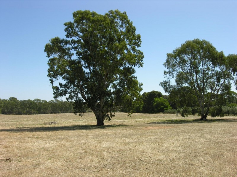 Lot 20 Goldfields Road, Cockatoo Valley SA 5351