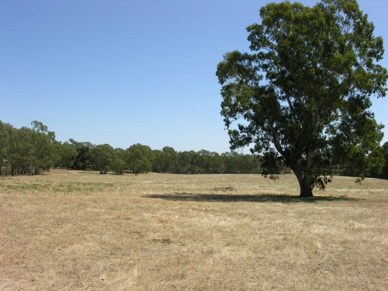 Lot 20 Goldfields Road, Cockatoo Valley SA 5351