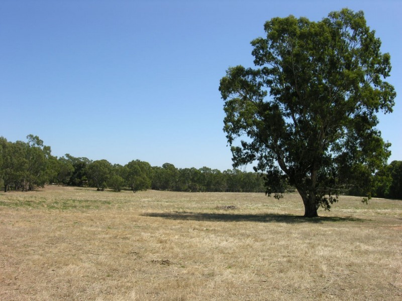 Lot 20 Goldfields Road, Cockatoo Valley SA 5351