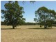 Lot 20 Goldfields Road, Cockatoo Valley SA 5351