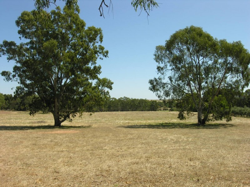 Lot 20 Goldfields Road, Cockatoo Valley SA 5351