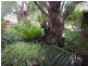 163 Calton Road, Kalbeeba SA 5118