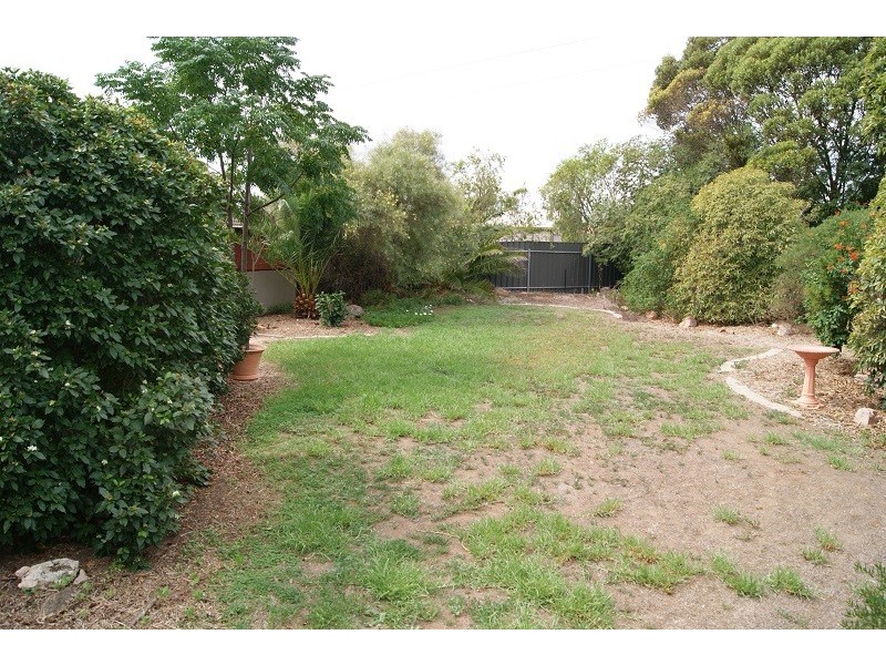 17 Phillips Avenue, Gawler East SA 5118