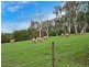 12 Whiteman Road, Williamstown SA 5351