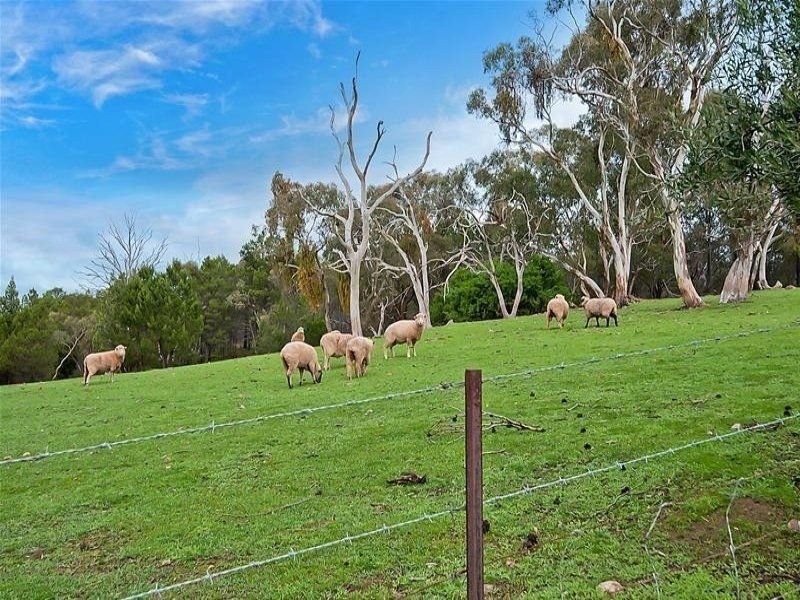 12 Whiteman Road, Williamstown SA 5351