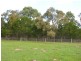 12 Whiteman Road, Williamstown SA 5351