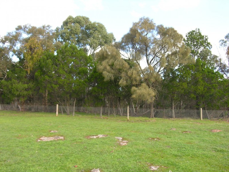 12 Whiteman Road, Williamstown SA 5351