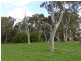 12 Whiteman Road, Williamstown SA 5351