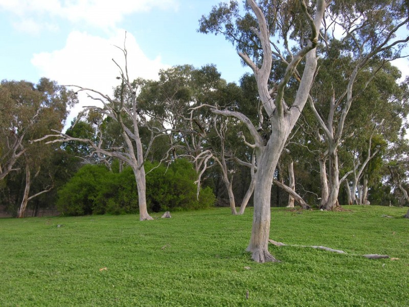 12 Whiteman Road, Williamstown SA 5351