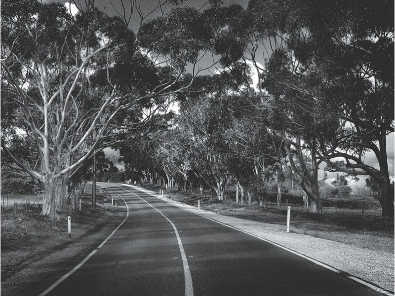 Lot 44 Butler Mews, Gawler South SA 5118