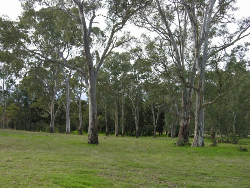 Williamstown SA 5351