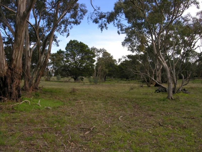 Williamstown SA 5351