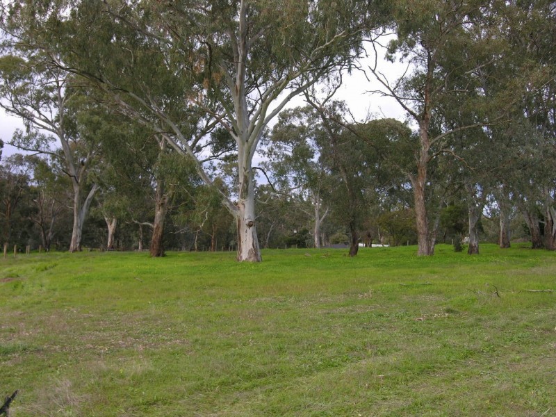 Williamstown SA 5351