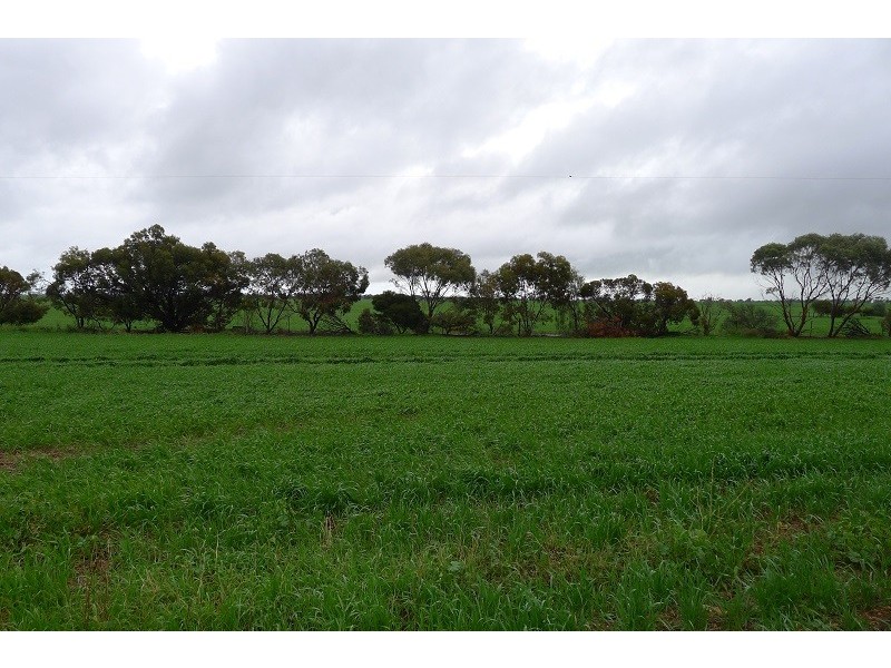 1429 Germantown Road, Red Banks SA 5502