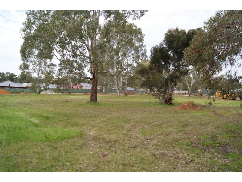 Lot 72 Frederick Street, Lyndoch SA 5351