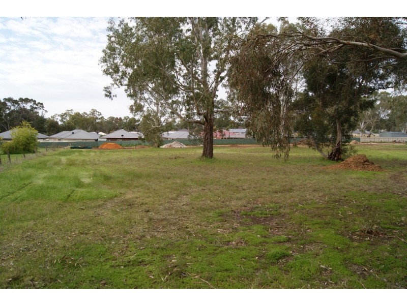 Lot 72 Frederick Street, Lyndoch SA 5351