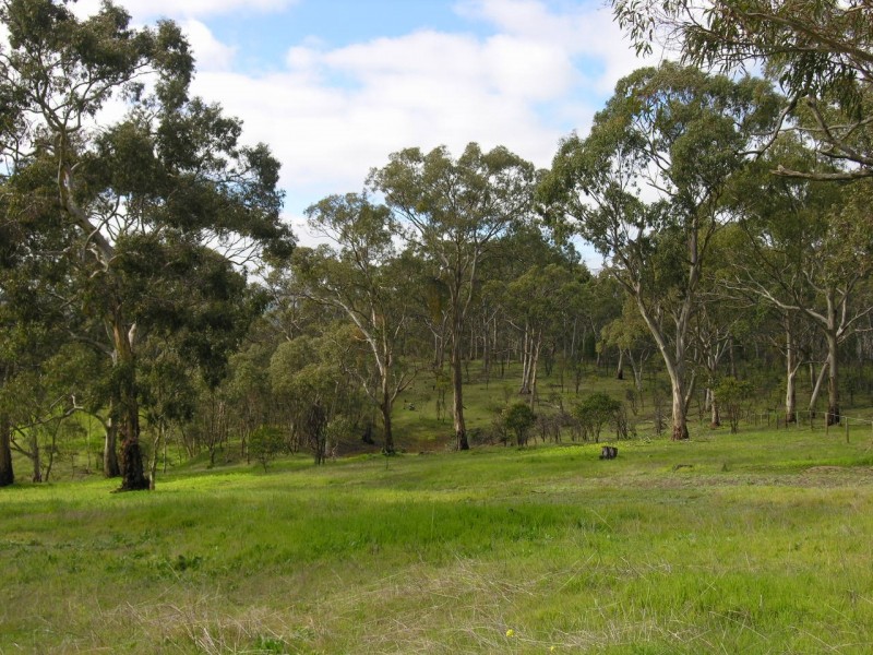 Lot 3 Lorke Road, Williamstown SA 5351