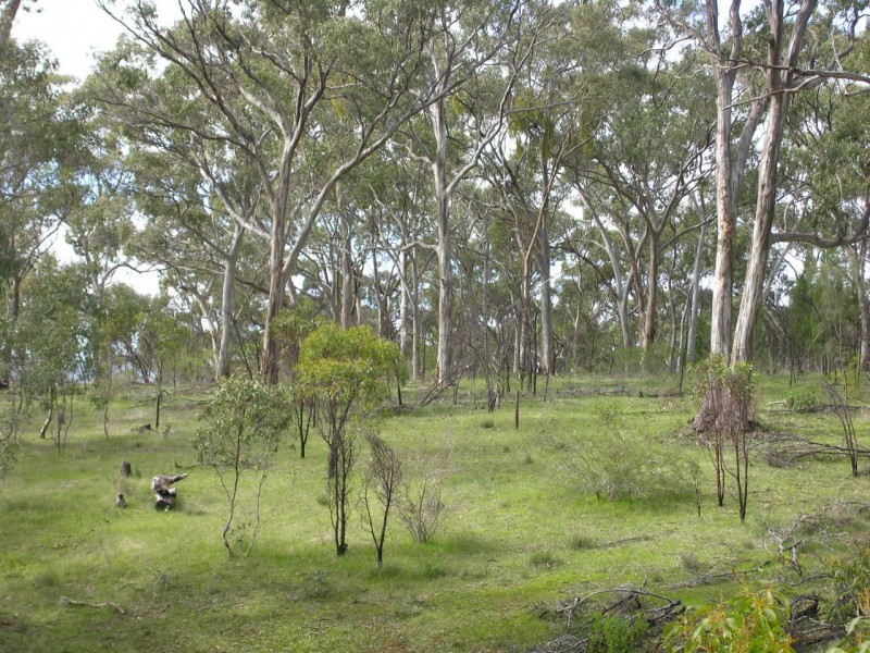 Lot 3 Lorke Road, Williamstown SA 5351