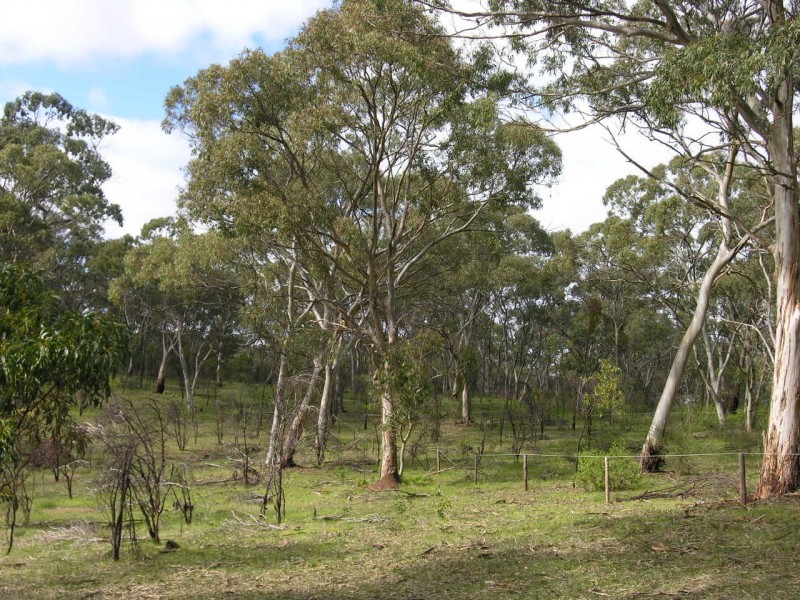 Lot 3 Lorke Road, Williamstown SA 5351