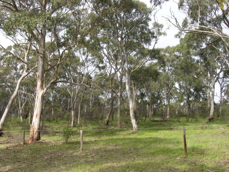 Lot 3 Lorke Road, Williamstown SA 5351