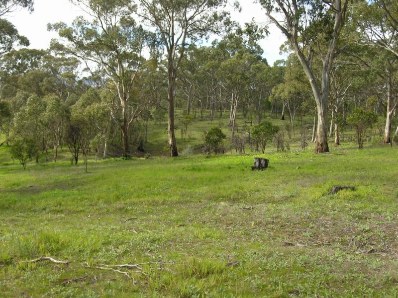 Lot 3 Lorke Road, Williamstown SA 5351