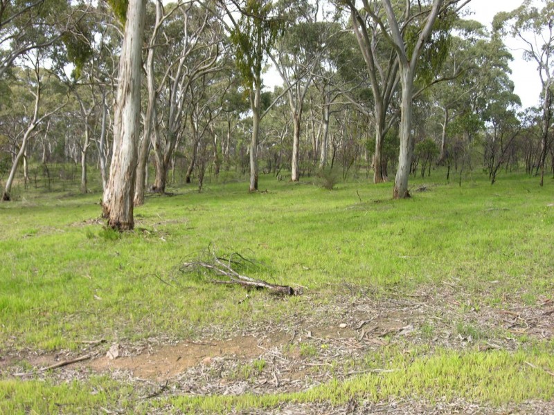 Lot 3 Lorke Road, Williamstown SA 5351