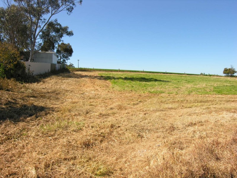 Lots 512 and 513 Malcolm Street, Hamley Bridge SA 5401