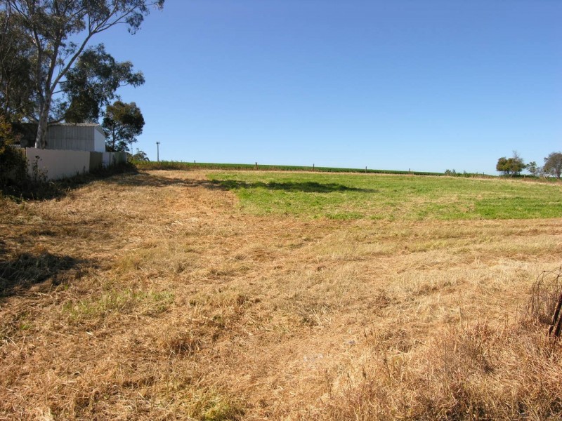 Lots 512 and 513 Malcolm Street, Hamley Bridge SA 5401