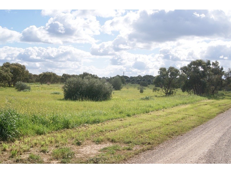 Lot 8 Carclew Road, Penfield Gardens SA 5121