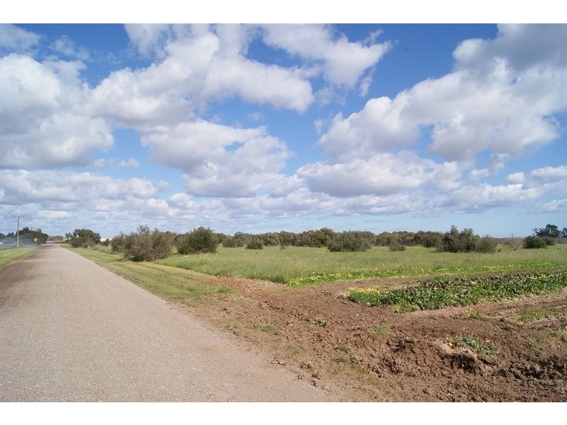 Lot 8 Carclew Road, Penfield Gardens SA 5121